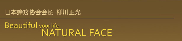 日本蜂疗协会会长 柳川正光